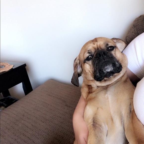 Meet your Posher, Zoelle - Picture 1 of 1